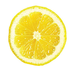 1003p48-lemon-slice-m