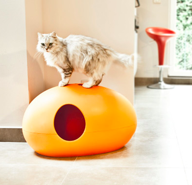 Design cat litter boxes you'll wanna go in yourself.